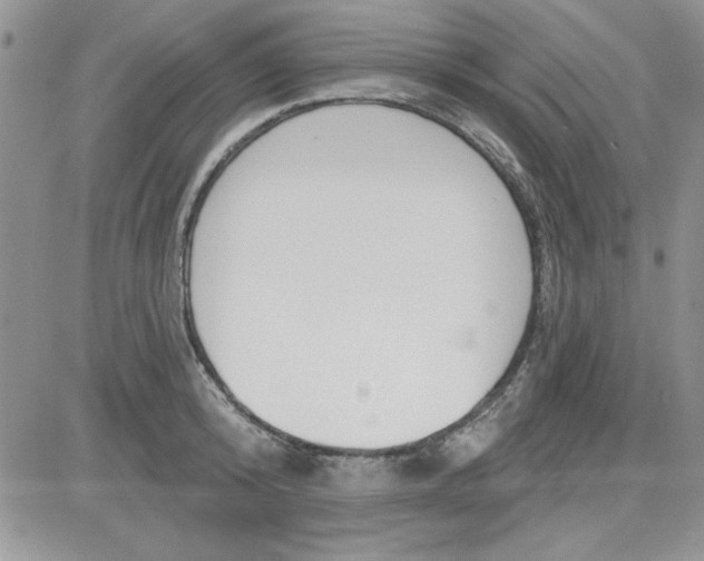 X0000081560800200701291148