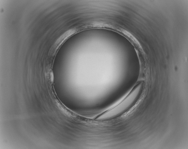 X0000081560801200701291148