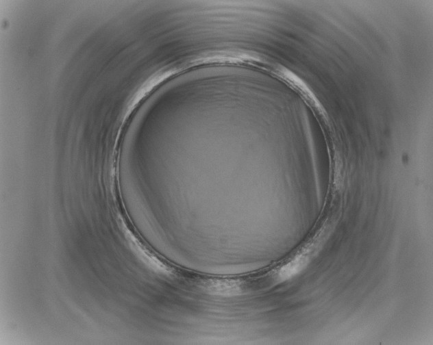 X0000081560802200701291148