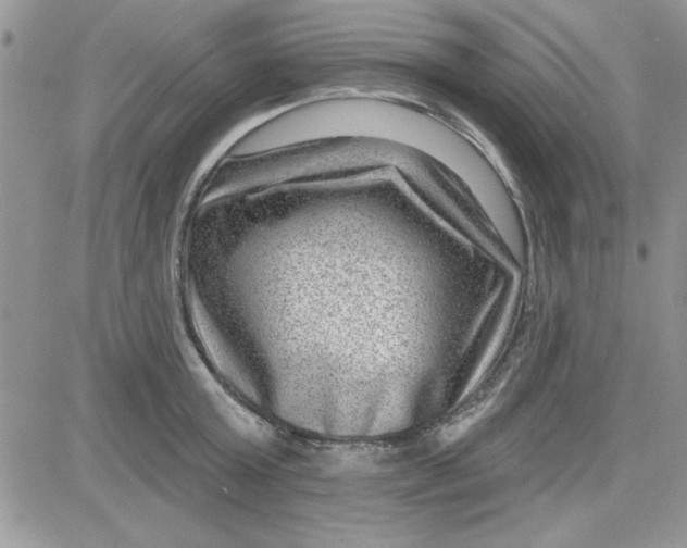 X0000081560803200701291148