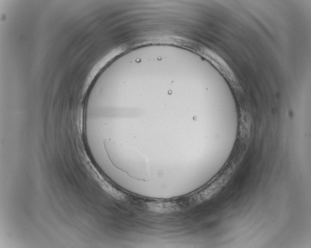 X0000081560804200701291148