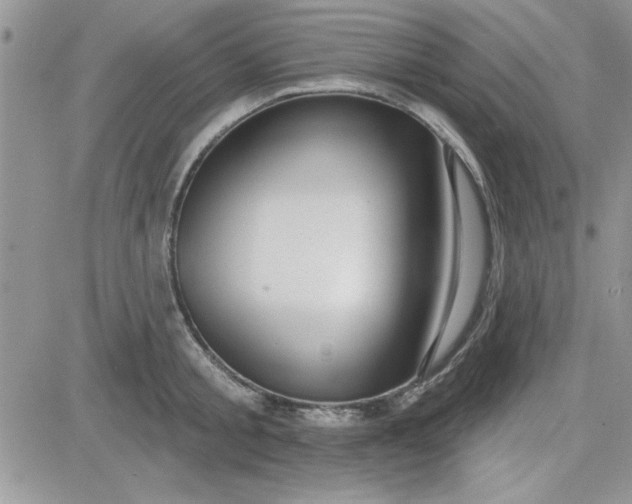 X0000081560805200701291148