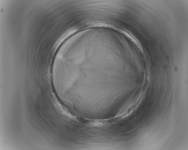 X0000081560806200701291148