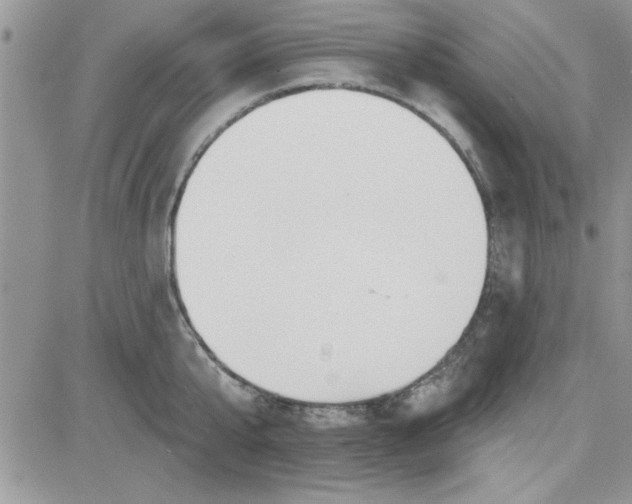 X0000081560807200701291148