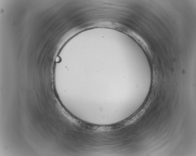 X0000081560808200701291148