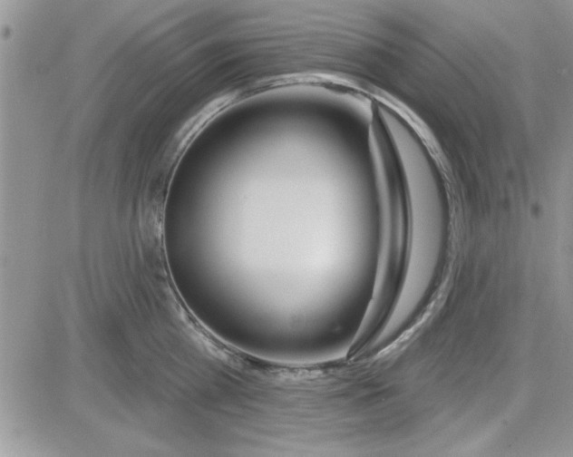 X0000081560809200701291148