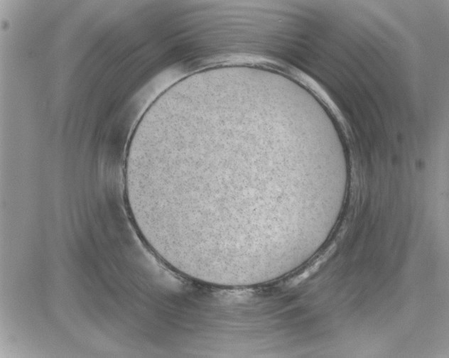 X0000081560810200701291148