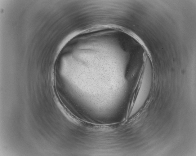 X0000081560811200701291148