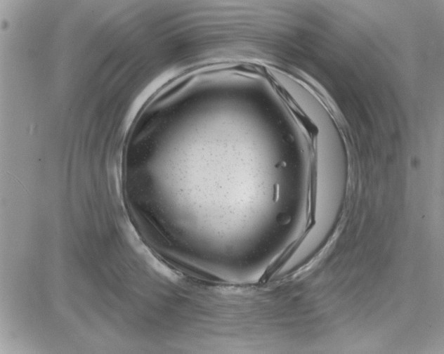 X0000081560812200701291148