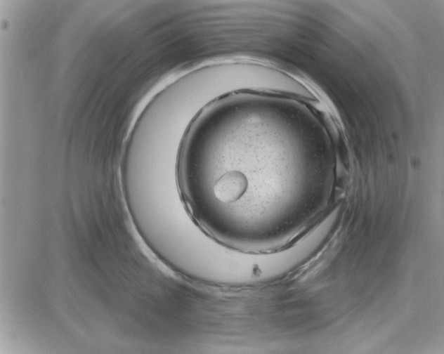 X0000081560813200701291148