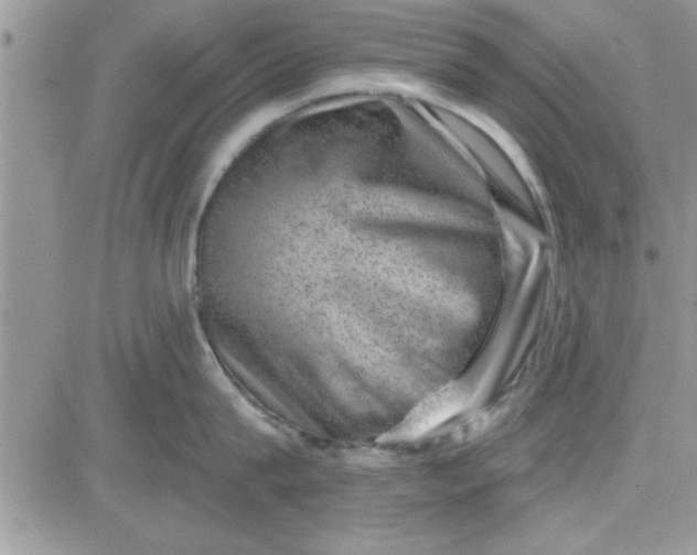 X0000081560815200701291148