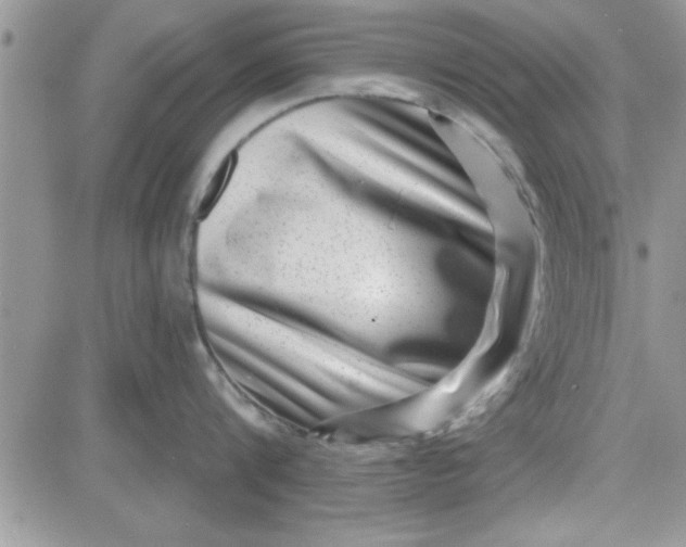 X0000081560816200701291148