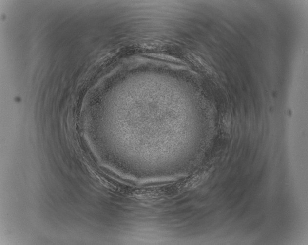 X0000081560817200701291147