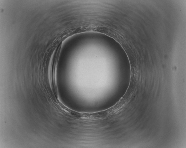 X0000081560818200701291147