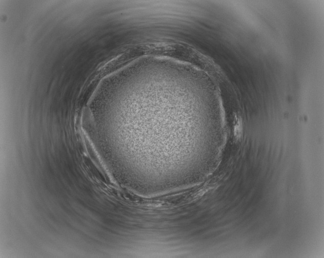 X0000081560819200701291147