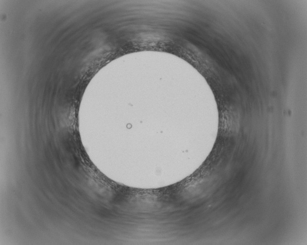 X0000081560820200701291147