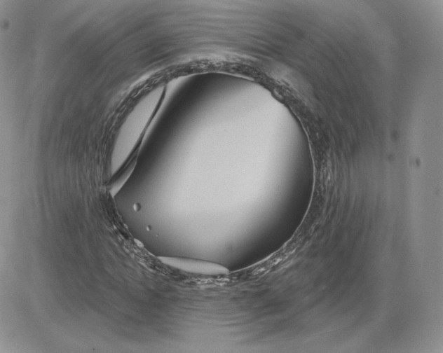 X0000081560822200701291147