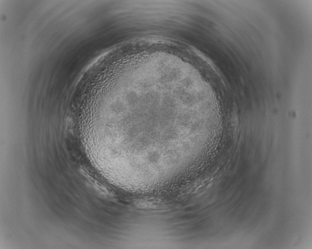 X0000081560823200701291147