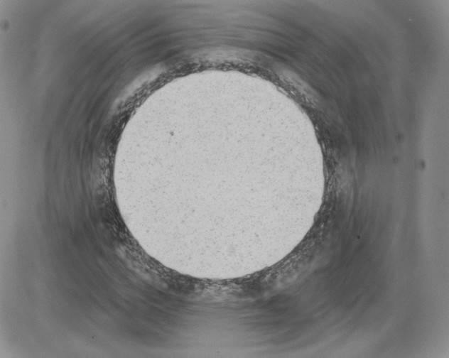 X0000081560824200701291147