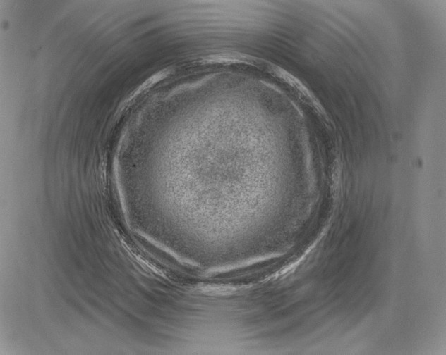 X0000081560825200701291147