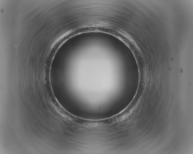 X0000081560826200701291147