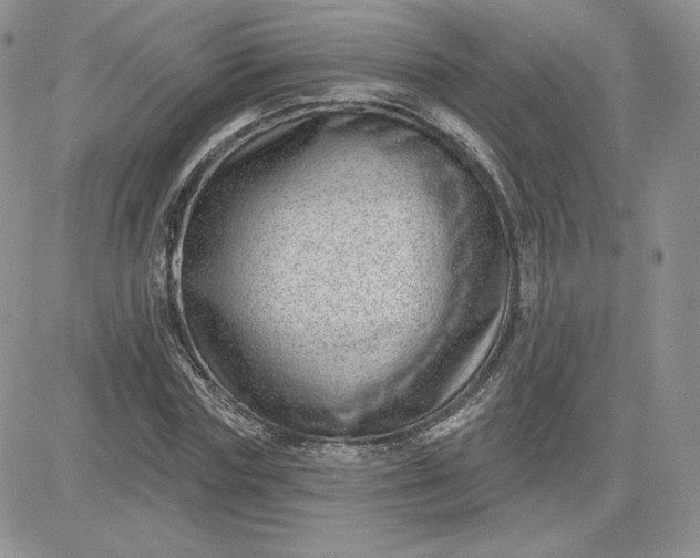 X0000081560827200701291147