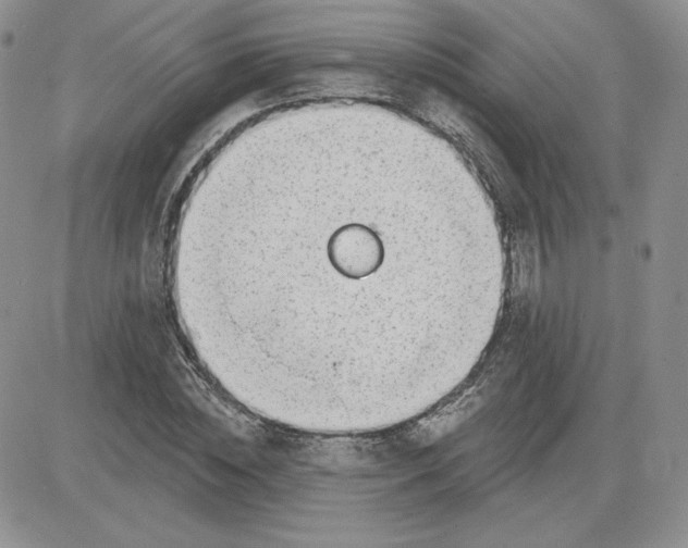 X0000081560828200701291147