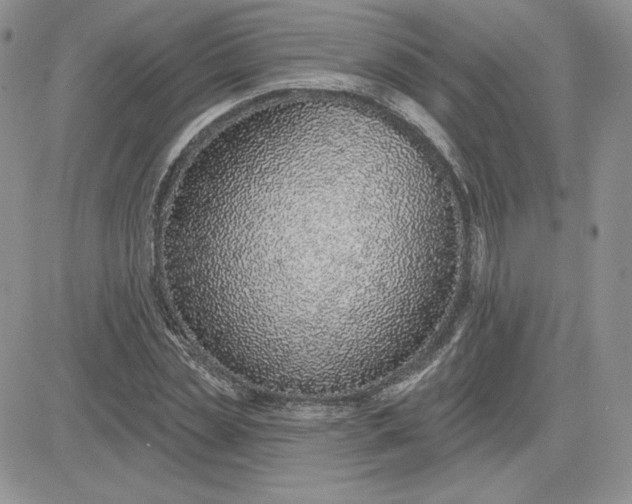 X0000081560829200701291147