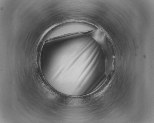 X0000081560830200701291147