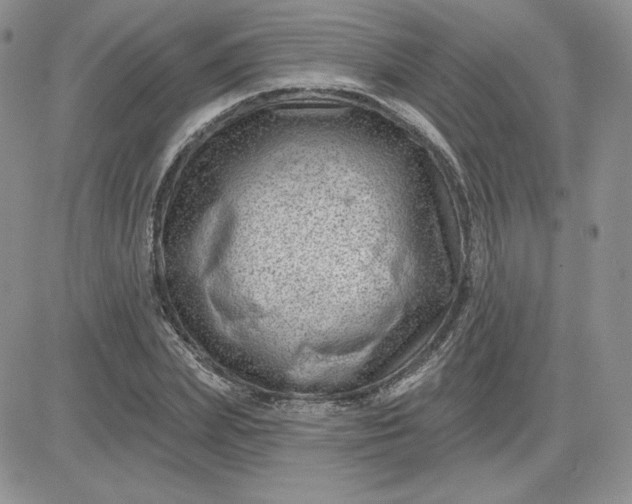 X0000081560831200701291147