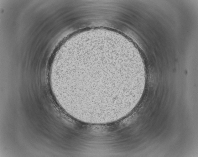 X0000081560832200701291147