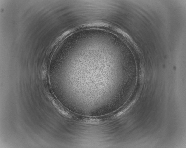 X0000081560833200701291147