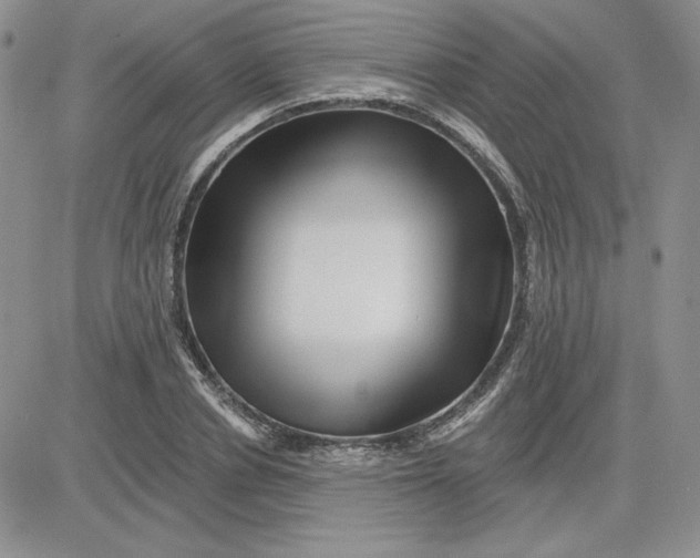 X0000081560834200701291147