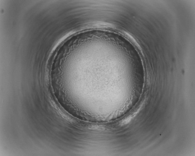 X0000081560835200701291147