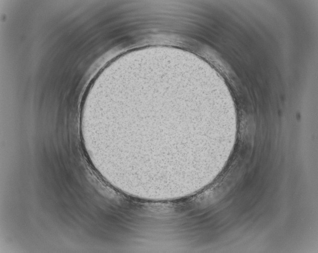 X0000081560836200701291147