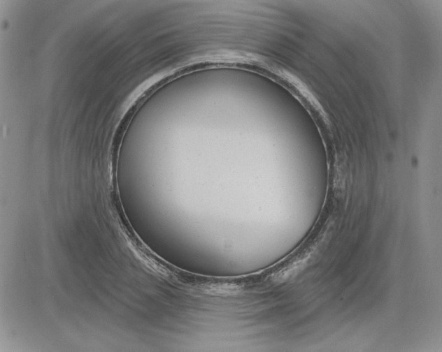 X0000081560837200701291147