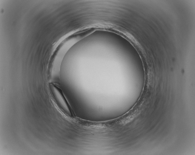 X0000081560838200701291147