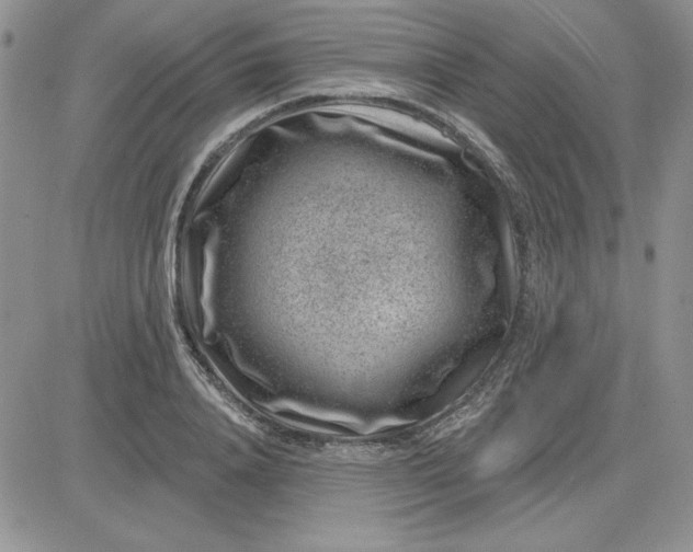 X0000081560840200701291147