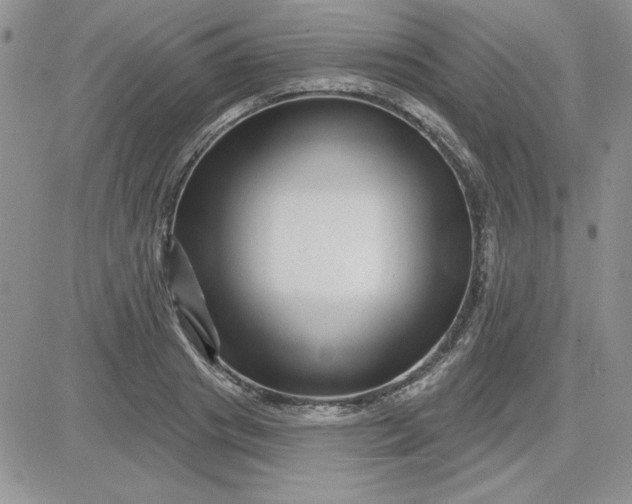 X0000081560841200701291147