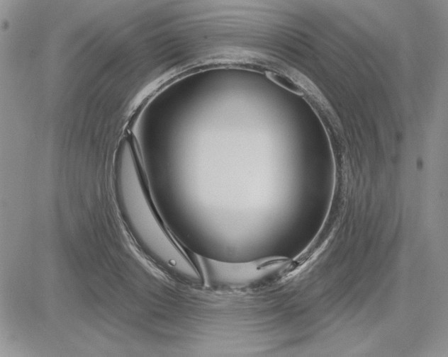 X0000081560842200701291147