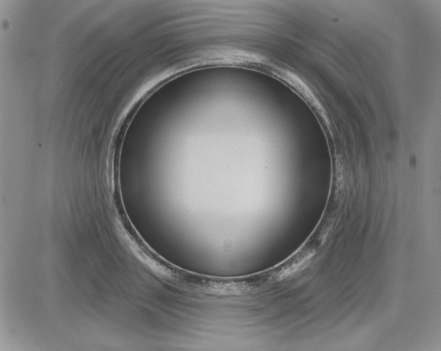 X0000081560843200701291148