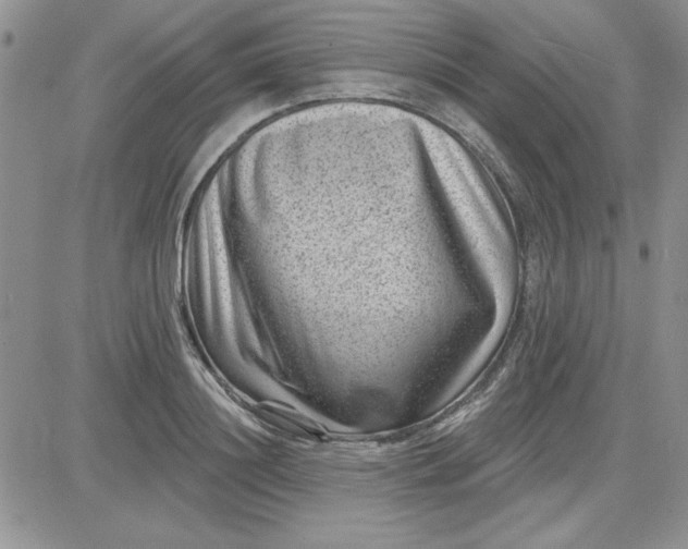 X0000081560844200701291148