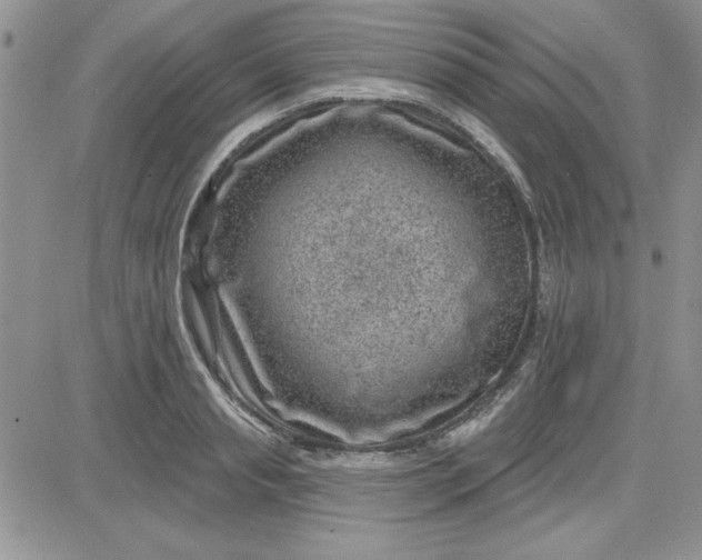 X0000081560845200701291148