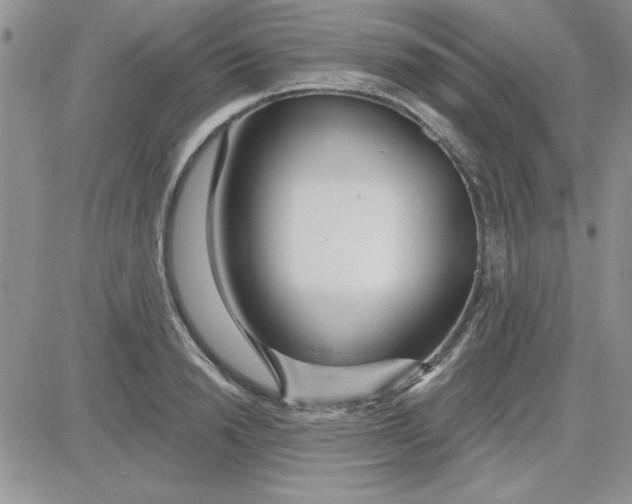 X0000081560846200701291148