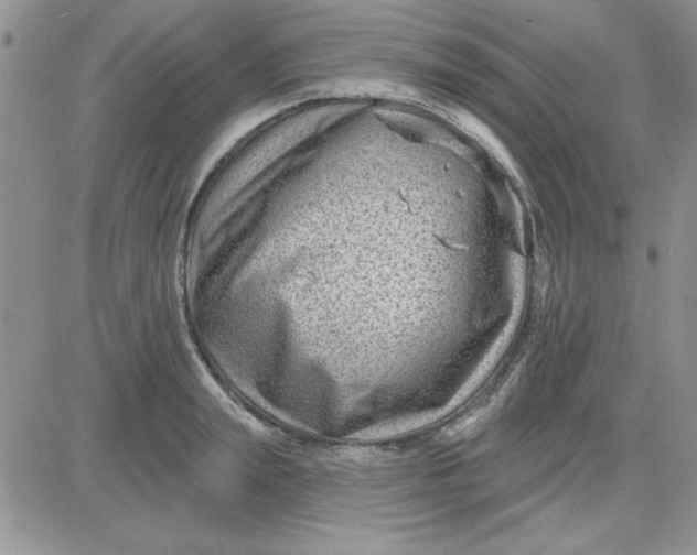 X0000081560847200701291148