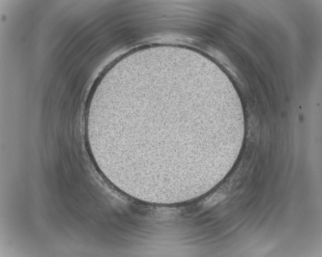 X0000081560848200701291148