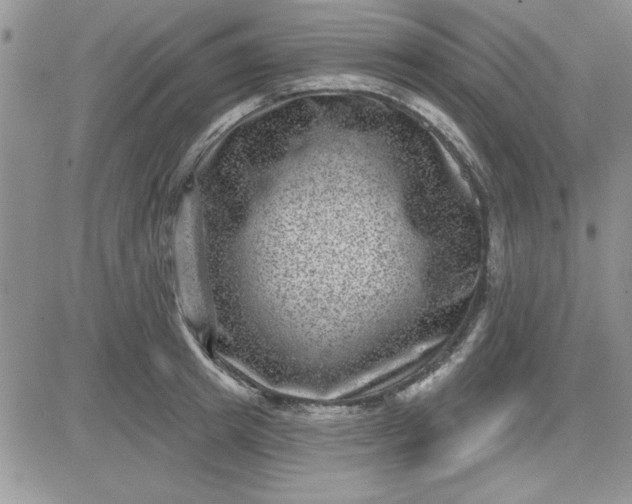 X0000081560849200701291148