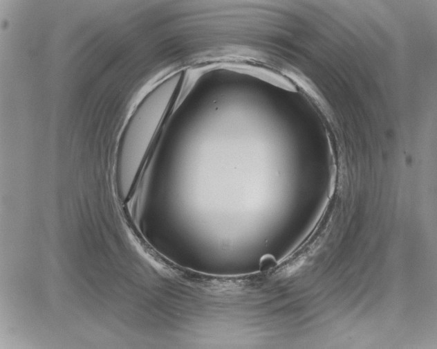 X0000081560850200701291148