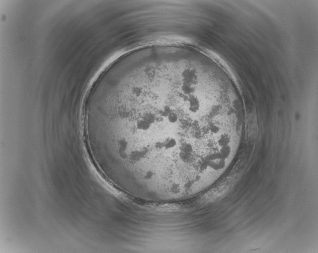 X0000081560851200701291148