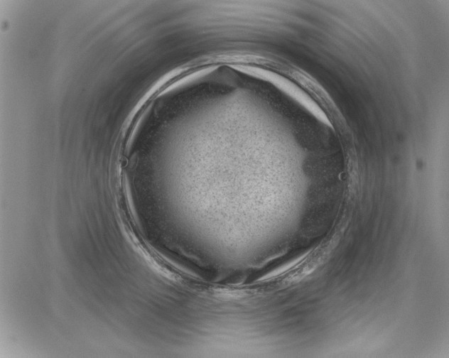 X0000081560852200701291148